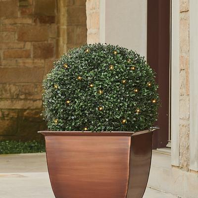 Pre-Lit Boxwood Ball Topiary - Grandin Road