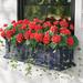 Geranium Window Box Fillers - Red - Grandin Road