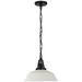 Visual Comfort Signature Collection Chapman & Myers Layton 14 Inch Large Pendant - CHC 5461BZ-WHT