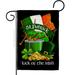 Breeze Decor Luck of the Irish 2-Sided Polyester 19 x 13 in. Garden Flag in Black/Green | 18.5 H x 13 W in | Wayfair BD-SA-G-102063-IP-BO-D-US21-BD