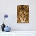 East Urban Home Serious Lion by Mike Centioli - Photograph Print Canvas in Brown | 18 H x 12 W x 1.5 D in | Wayfair