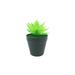 Primrue 3.5 x 3.5 x 5.5" Diameter Black Planter w/ Succulent Lotus Last Forever Artificial Green Turf Moss | 5.5 H x 3.5 W x 3.5 D in | Wayfair