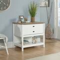 Inbox Zero Lastacia 1-Drawer Lateral Filing Cabinet Wood in White | 29.76 H x 32.44 W x 21.81 D in | Wayfair 50C9DD635855470E9D07933E1E65D469