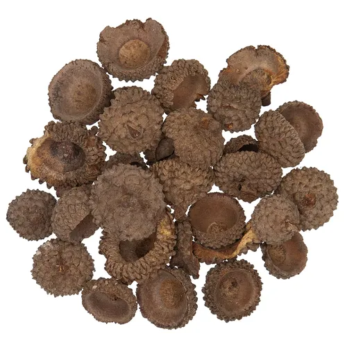 Cupules de glands véritables, marron, 250 g