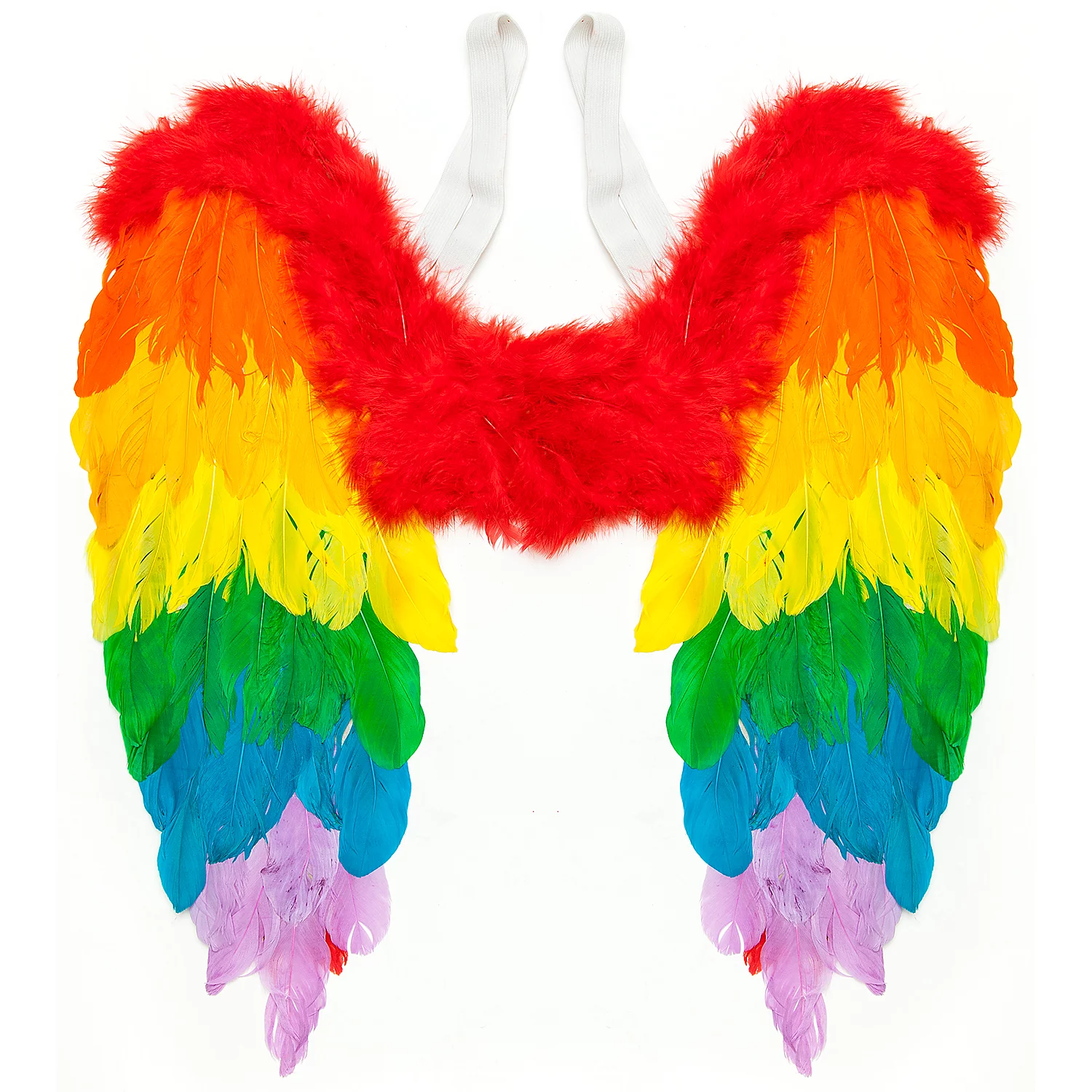 Feder-Flügel Papagei, 45 x 45 cm Image