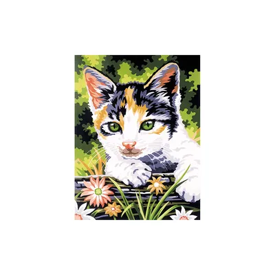 Malen nach Zahlen mit Acrylfarben Katze, 23 x 30,5 cm