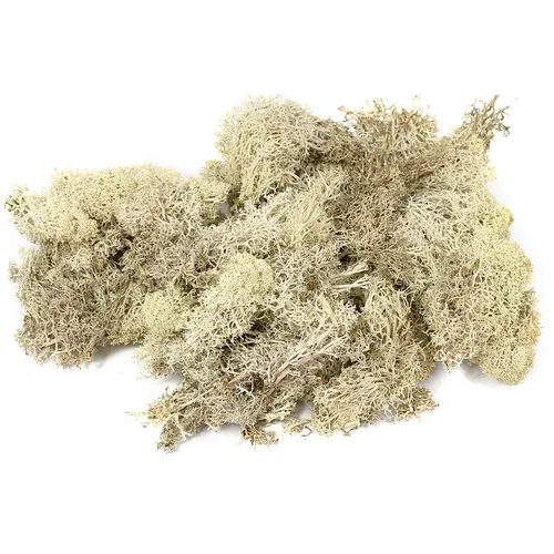 Islandmoos, natur, 250 g