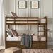 Greyleigh™ Baby & Kids Thomson Twin over Twin Bed Wood in Brown | 65 H x 42 W x 79.8 D in | Wayfair 6A9C7B96EB044BFAB71185F5267E85DE
