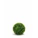 Charlton Home® Artificial Boxwood Ball Round Topiary Silk/Plastic | 10 H x 12 W x 10 D in | Wayfair CHRL5667 40268417