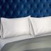 Charlton Home® Andrina Pillowcase Microfiber/Polyester in White | 30 H x 20 W in | Wayfair F0B945967DCD47919658C9AB1623B491