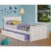 Harriet Bee Jacquline Solid Wood Platform Bed w/ Trundle Wood in White | 36 H x 41.5 W x 85 D in | Wayfair C389A05F2D31490EBC84E2C864AE6CA3