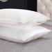 Everly Quinn Derun Pure Silk Pillowcase w/ Hidden Zipper 19 Momme in White | 20 H x 30 W in | Wayfair BA4BF21D93944445BF42DA7D9C9DCF97