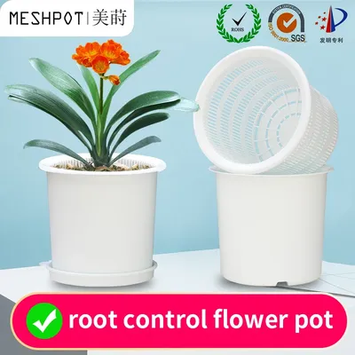 Meshpot – Pot d'orchidées en plastique 5 6 8 pouces Excellent Drainage avec trous taille à