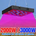 Panneau lumineux LED pour serre/chambre de culture intérieure 2000/3000W prise UE