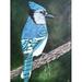 Loon Peak® Blue Jay by Amy Valiante - Painting Print in Blue/Green | 12 H x 9 W x 0.15 D in | Wayfair B8A04CCFBB0A4D18875425DDB1C89233