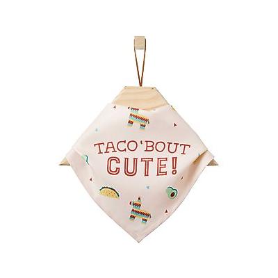 Frisco Taco 'Bout Cute Dog & Cat Bandana, Medium/Large