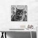 ARTCANVAS Dragon Li Cat Breed Gray - Wrapped Canvas Graphic Art Print Canvas, Wood in Black/Gray/White | 18 H x 18 W x 0.75 D in | Wayfair