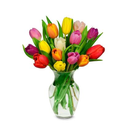 Mother's Day Rainbow Tulip Bouquet