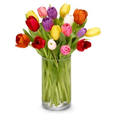 Easter Rainbow Tulip Bouquet