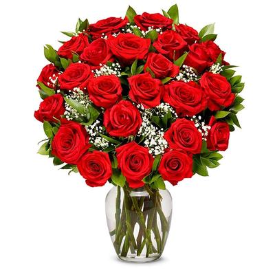 Two Dozen Long Stemmed Red Roses