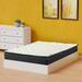 Twin Medium 9" Mattress - Spinal Solution | 74 H x 38 W 9 D in Wayfair 900j-3/3-1