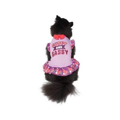 Frisco Cute & Sassy Dog & Cat Dress, Small