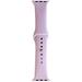 Purple Delaware State Hornets 42-44mm Apple Watch Band