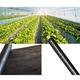 Dimo Agricultural Black Plastic Mulching Film, Garden Weeds Control Biodegradable Film, 14micron Thickness Strawberry Tomato Plant Cover Mulch (Color : 2x20M)