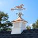 Darby Home Co Mererid Vinyl Cupola w/ Horse Weathervane Vinyl/Metal/Copper in Brown | 48 H x 18 W x 24 D in | Wayfair