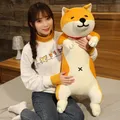 Peluche chien et chat mignon Shiba Inu 60-120cm jouets en peluche longs animaux sommeil petit