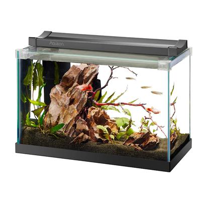 Aqueon Black Rimless Tank Aquarium, 2.5 Gallon
