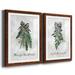 The Holiday Aisle® Sprig of Christmas Time - 2 Piece Picture Frame Graphic Art Print Set Paper, in Black/Green/White | 31 H x 44 W in | Wayfair