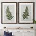 Bay Isle Home™ Fern Studies I - 2 Piece Painting Print Set Canvas in Green | 31 H x 44 W in | Wayfair 5F3CAF0E19A04F539F348F717EFF8C8E