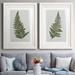 Bay Isle Home™ Fern Studies I - 2 Piece Painting Print Set Paper in White | 31.5 H x 47 W in | Wayfair 7854BB0834AE47519B637AD796A9A250