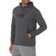 PUMA Men's Essentials Big Logo Hoodie Hooded Sweatshirt, Dark Gray Heather, Large