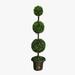 Primrue 48" Artificial Boxwood Tree in Pot Plastic in Brown | 48 H x 13 W x 13 D in | Wayfair EF932C1A888743A79216ACD3E6B14C01