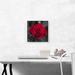 ARTCANVAS Red Rose Flower in Garden - Wrapped Canvas Graphic Art Print Canvas, Wood in Gray/Red | 12 H x 12 W x 1.5 D in | Wayfair