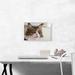 ARTCANVAS Maine Coon Cat - Wrapped Canvas Photograph Print Canvas in Gray | 12 H x 18 W x 0.75 D in | Wayfair OPEPHO252-1S-18x12