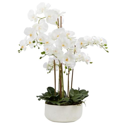 PureDay Kunstpflanze, Orchideentopf Royal Kunstblumen & Pflanzen