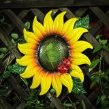 August Grove® Ambarvale Sunflower Metal & Glass Outdoor Wall Décor Glass/Metal | 24.02 H x 25.59 W x 1.18 D in | Wayfair