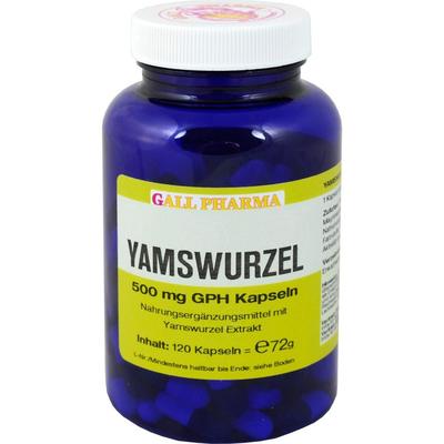 Hecht-Pharma - YAMSWURZEL 500 mg GPH Kapseln Mineralstoffe