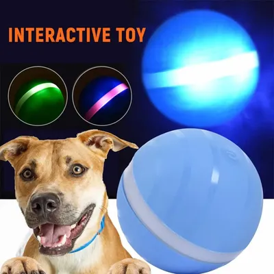 Boule magique à roulettes pour enfants jouet étanche boule de saut USB électrique pour animaux