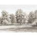 Winston Porter Tree Field - Wrapped Canvas Painting Print Canvas in Gray | 20 H x 30 W x 1.25 D in | Wayfair B3CDF7E78668489DA57A5029D1768CCE