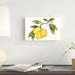 August Grove® Citrus Garden I by Kathleen Parr McKenna - Wrapped Canvas Painting Print Canvas in Green/Yellow | 8 H x 12 W x 1.25 D in | Wayfair