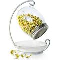 Premium Sprouting Jar Kit - Unique 30 oz Wide Mouth Sprouting Jar, Stand, Tray and 316 Stainless Screen Lid | Decorative Indoor Seed Sprouter and Germinator (1 Kit)