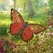 Arlmont & Co. 18.5 Inch Metal Butterfly Garden Stake in Red | 14.5 H x 18.5 W x 1 D in | Wayfair C070153C77294DB89C05450F47705965