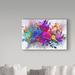 Ebern Designs Dark Color Explosion' Oil Painting Print on Wrapped Canvas in White | 30 H x 2 D in | Wayfair BF704EA1AB7F4AD799B1E783DF926B98