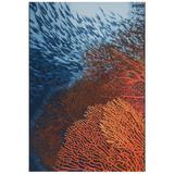 Liora Manne Marina Coral Indoor/Outdoor Rug by Trans-Ocean Import in Ocean (Size 23" X 7'6")