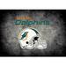 Miami Dolphins Imperial 3'10" x 5'4" Distressed Rug