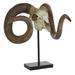 Juniper + Ivory 17 In. x 22 In. Traditional Sculpture Brown Polystone Skull - Juniper + Ivory 78842